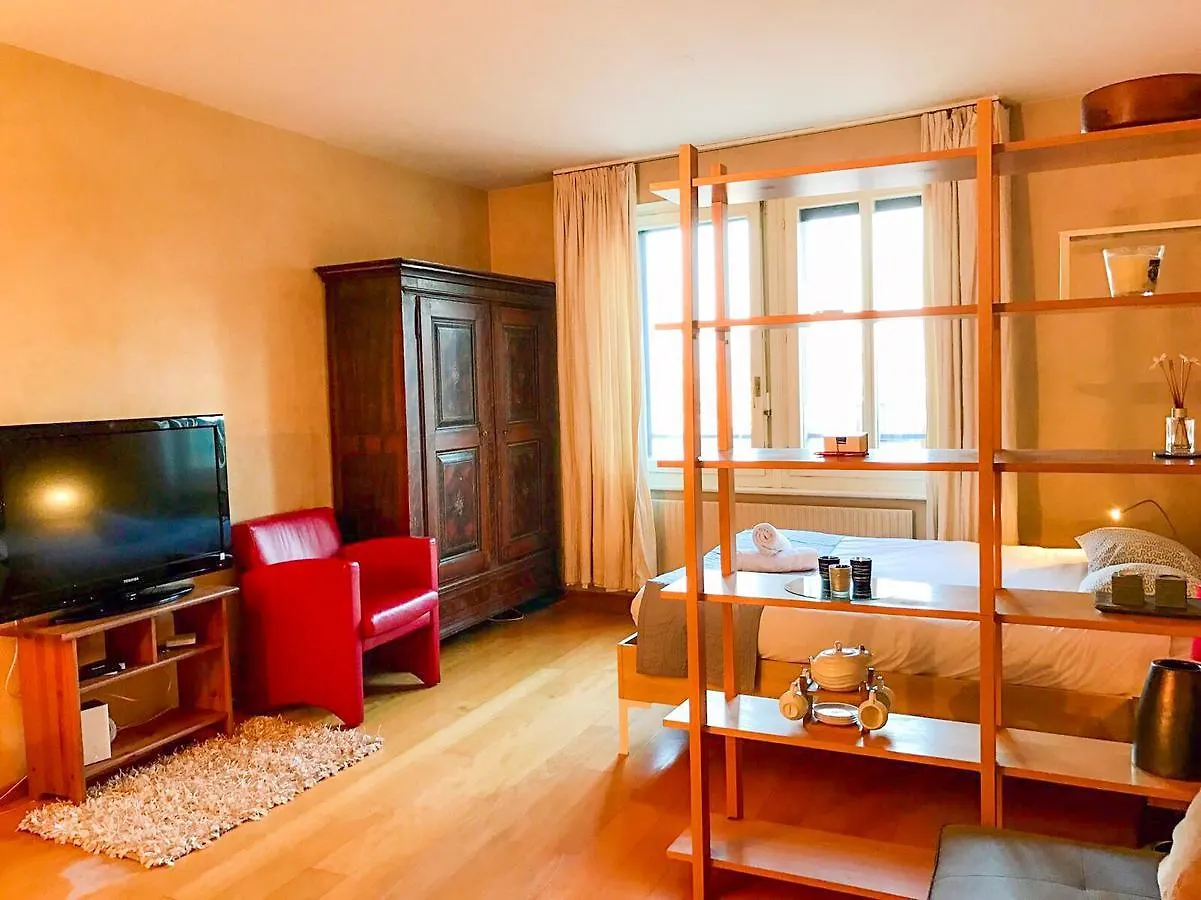 Studio Geneva Old Town Hotel